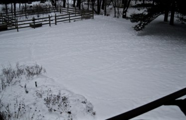 deer trails – Version 2