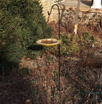 birdfeeder version 3