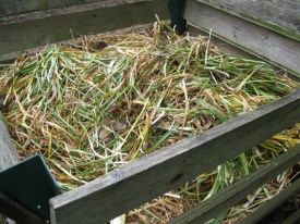 june: last resting place