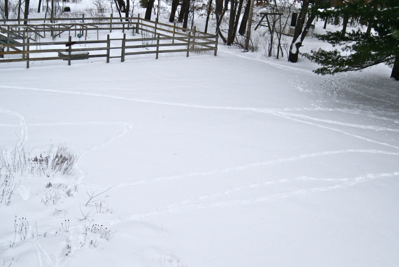 snow tracks