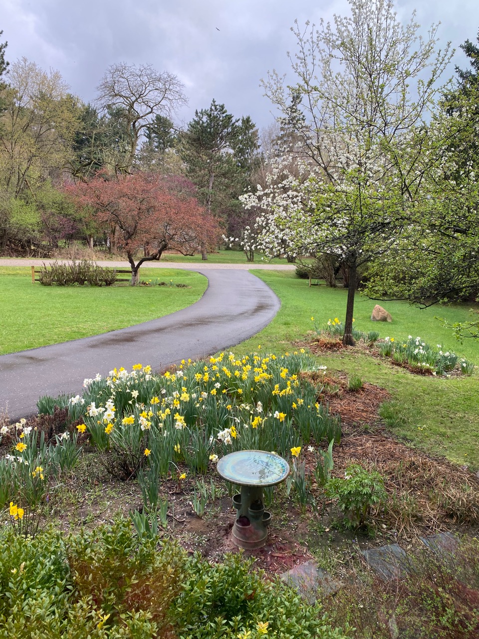 daff view with brdbath