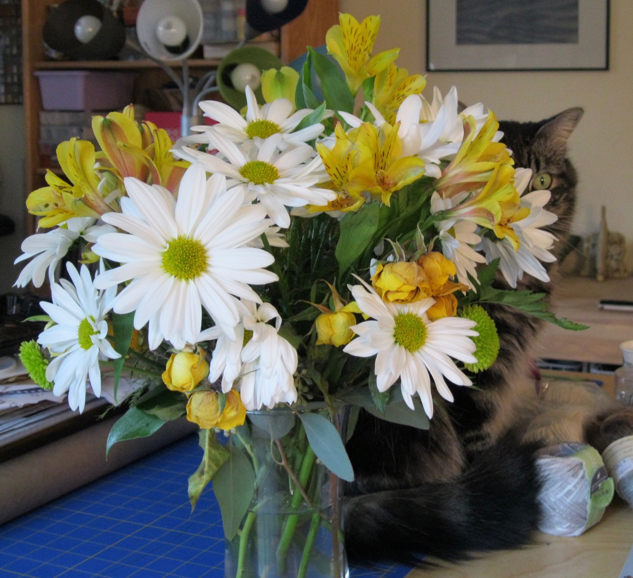 b flowercat