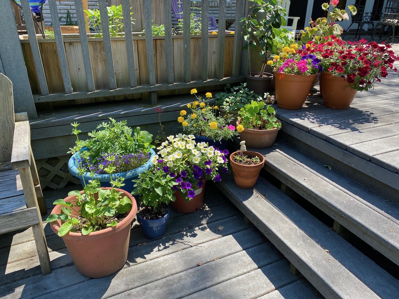 b deck steps