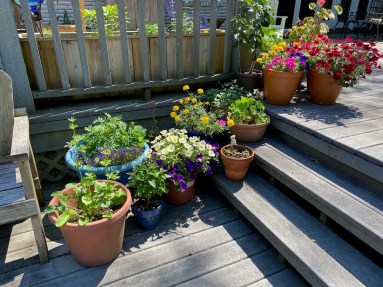 b deck steps