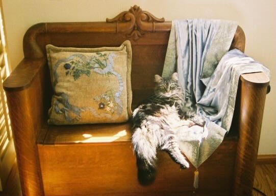 Zerlina tile – Version 2