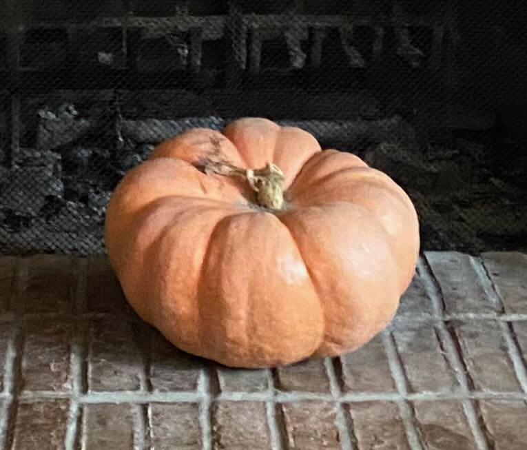 b pumpkin hearth